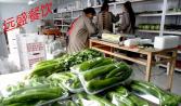 蔬菜配送及時提升食堂品質 選專業性強食堂承包更放心