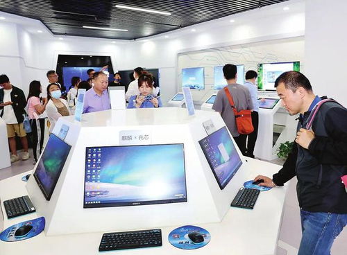 種好梧桐樹，引得鳳凰來 以軟件開發(fā)與信息技術(shù)咨詢服務(wù)為核心，打造總部經(jīng)濟新高地